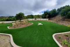 Artificial Grass 4
