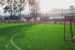 Artificial Grass 5