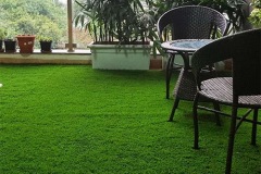 Artificial Grass 6