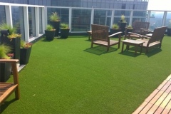 Artificial Grass 7