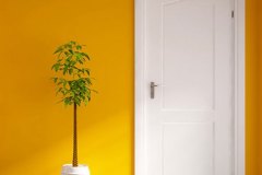 Door1