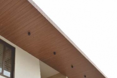 exterior-Cladding 11